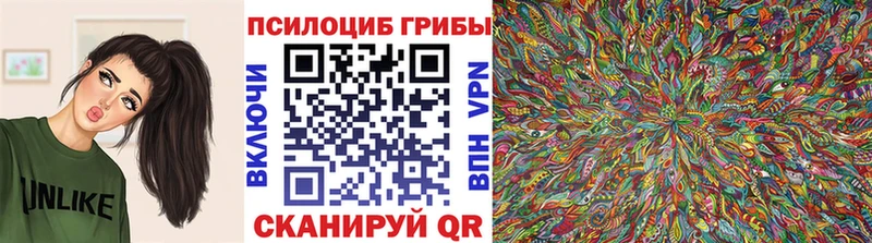 Галлюциногенные грибы Psilocybe  kraken ONION  Харовск 